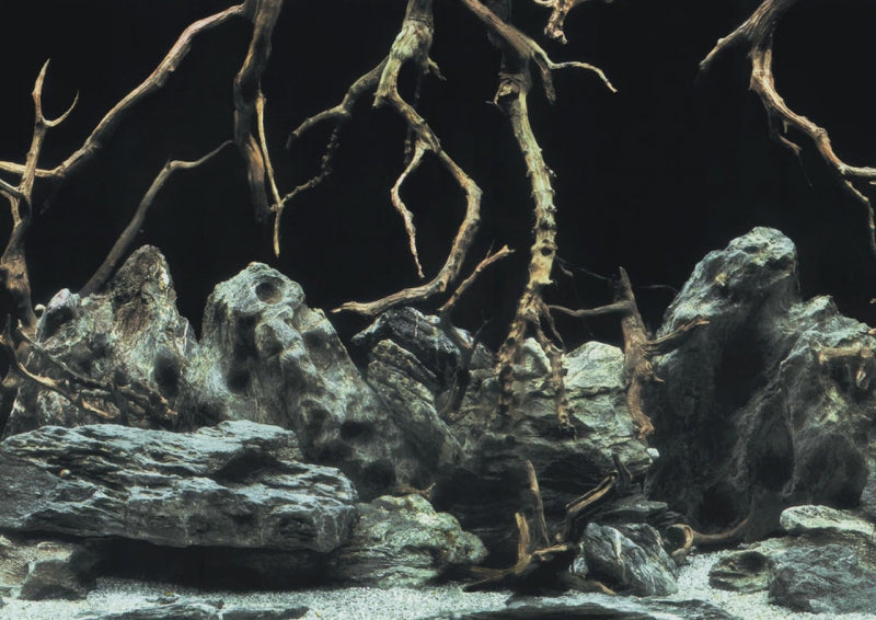 AQUA NOVA AQUARIUM BACKGROUND S 60X30CM ROOTS/WATER