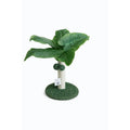 ΟΝΥΧΟΔΡΟΜΙΟ SCRATCY MATCHY CAT TREE 26X26Χ45CM
