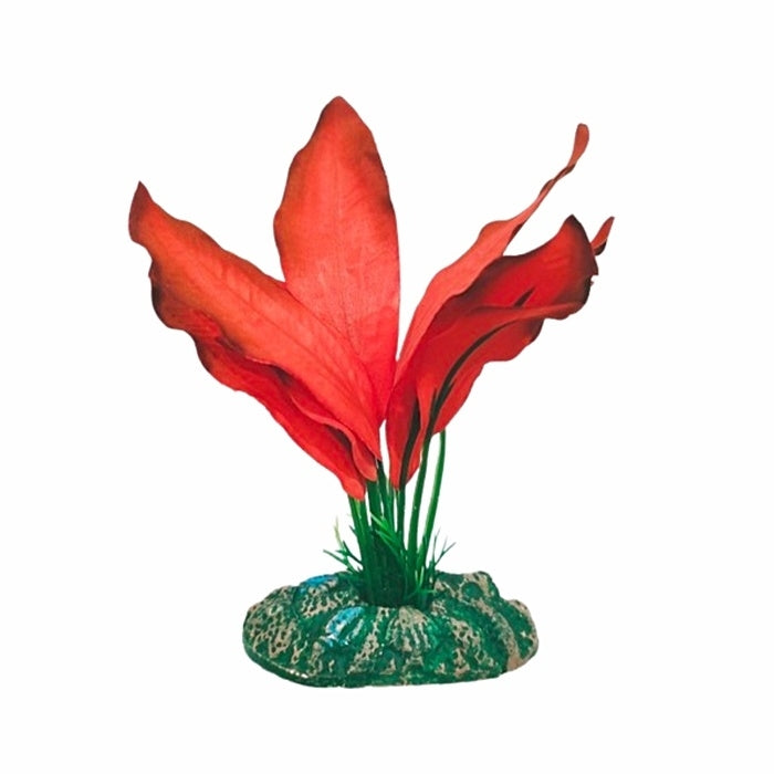 AQUA NOVA ΔΙΑΚΟΣΜΗΤΙΚΟ ΦΥΤΟ 13CM