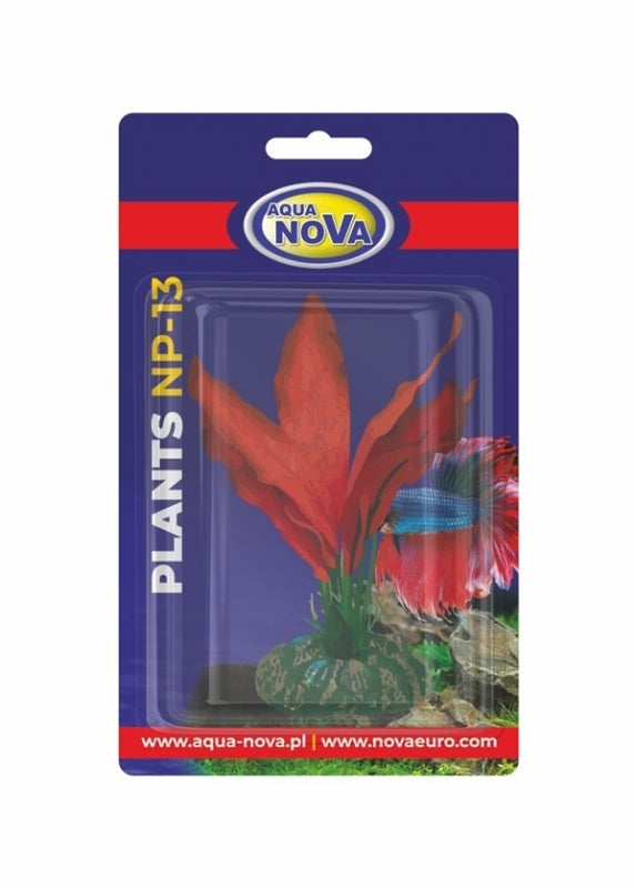 AQUA NOVA ΔΙΑΚΟΣΜΗΤΙΚΟ ΦΥΤΟ 13CM