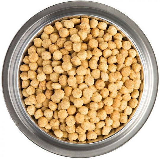 PURINA VETERINARY DIETS CANINE NF DOG 1.5KG ΥΠΟΣΤΗΡΙΞΗ ΝΕΦΡΩΝ