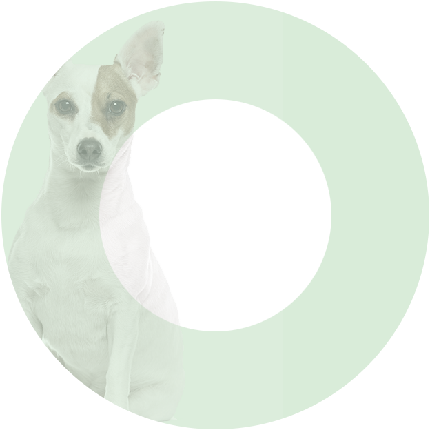 OASY DOG STRIPS IN GRAVY ADULT ΣΟΛΟΜΟΣ & ΠΑΤΑΤΑ 100G