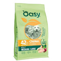 OASY DOG ORIGINAL ADULT MEDIUM/LARGE ΚΟΤΟΠΟΥΛΟ 2KG