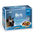 BRIT PREMIUM BY NATURE CAT GRAVY POUCHES FAMILY (12X100G) 1020G
