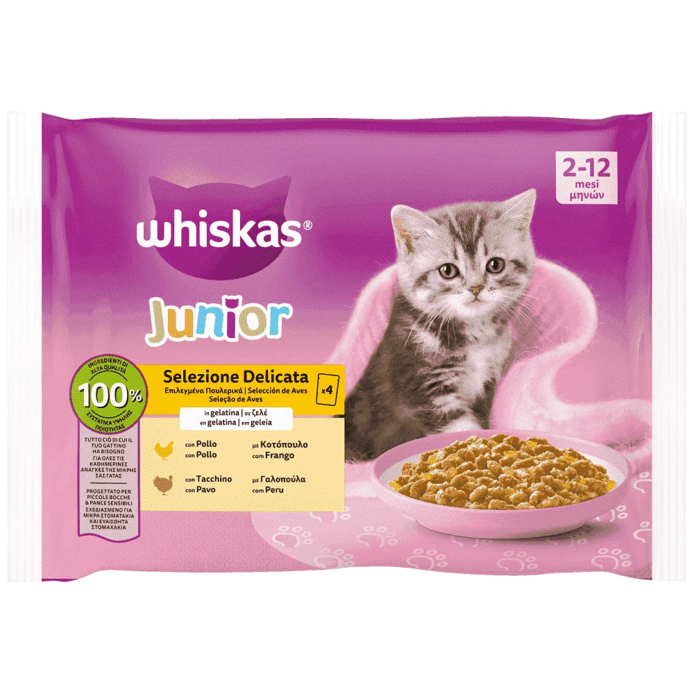 WHISKAS ΠΟΛΥΣΥΣΚΕΥΑΣΙΑ CORE KITTEN ΠΟΥΛΕΡΙΚΑ ΣΕ ΖΕΛΕ 4X85G