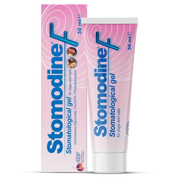 STOMODINE F ΑΝΤΙΣΗΠΤΙΚΟ ΣΤΟΜΑΤΙΚΗΣ ΚΟΙΛΟΤΗΤΑΣ ΜΕ ΧΛΩΡΕΞΙΔΙΝΗ 30ML