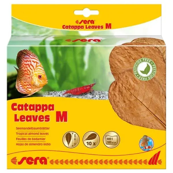 SERA CATAPPA LEAVES S 14CM 10PCS