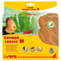 SERA CATAPPA LEAVES M 18CM 10PCS