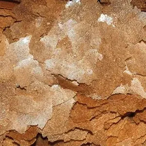 DAJANA TUBIFEX FLAKES 100ML/20GR