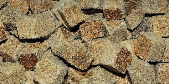 DAJANA TUBIFEX CUBES 250ML/30GR