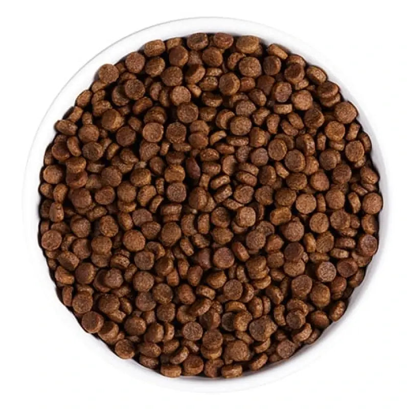 AMBROSIA GRAIN FREE STERILIZED CAT FRESH TROUT & RABBIT 5KG + ΔΩΡΟ CASSAVA 7L