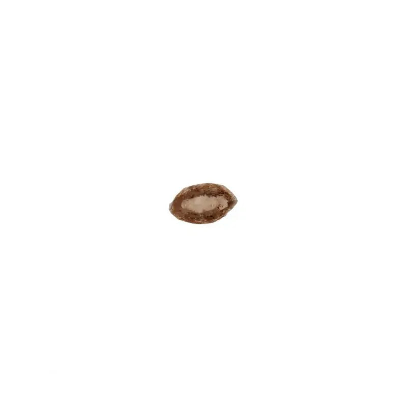 LUCKY LOU LUCKY ONES KRUNCHY KRISPS ΚΟΤΟΠΟΥΛΟ & ΣΟΛΟΜΟΣ 60GR