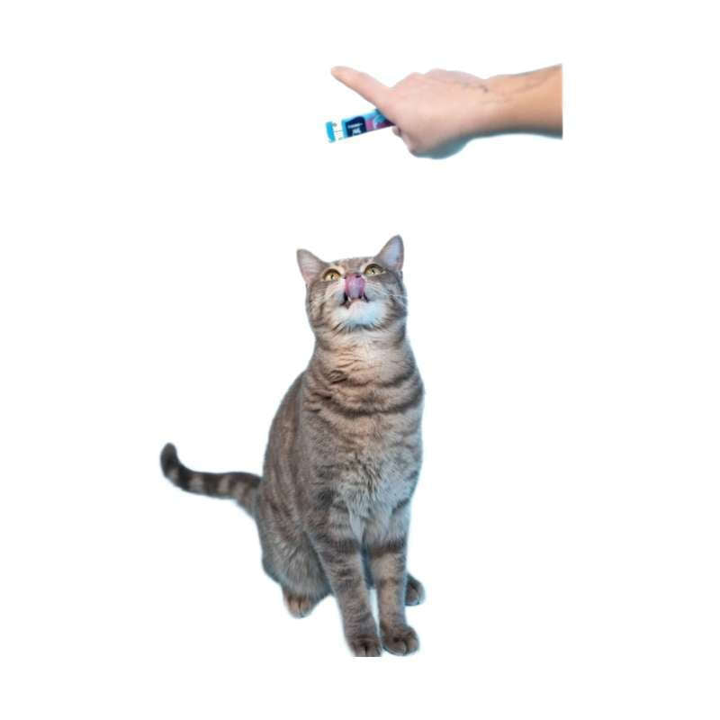 PRODEN PLAQUEOFF CAT CREAM 1TMX
