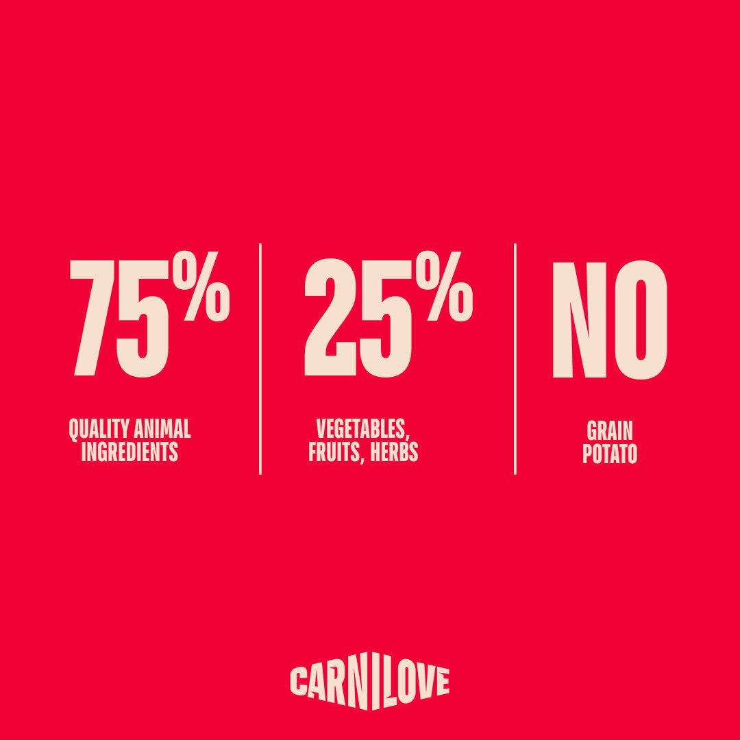 CARNILOVE ACTIVE PUPPIES SALMON & TURKEY 12KG