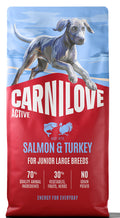 CARNILOVE ACTIVE JUNIOR LARGE SALMON & TURKEY 12KG
