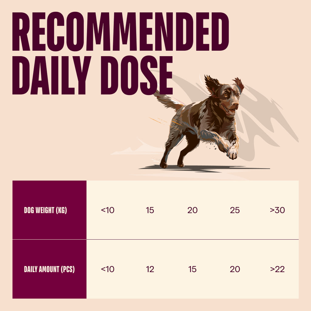 CARNILOVE DOG SNACK LAMB WITH CRANBERRIES 200GR