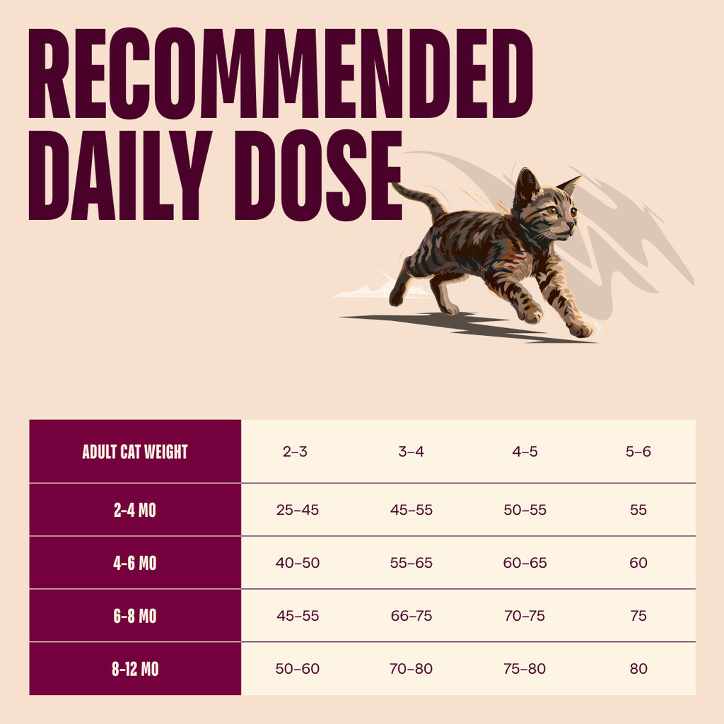 CARNILOVE ACTIVE KITTEN SALMON & TURKEY 400G