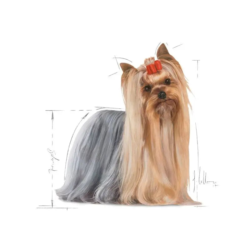 ROYAL CANIN YORKSHIRE 1.5KG -15%