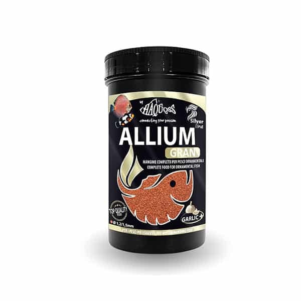 HAQUOSS ALLIUM GRAN 1000ML/550GR