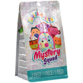 Squishmallows Λούτρινο Scented Mystery Bags 13cm W5 Γλυκές Απολαύσεις