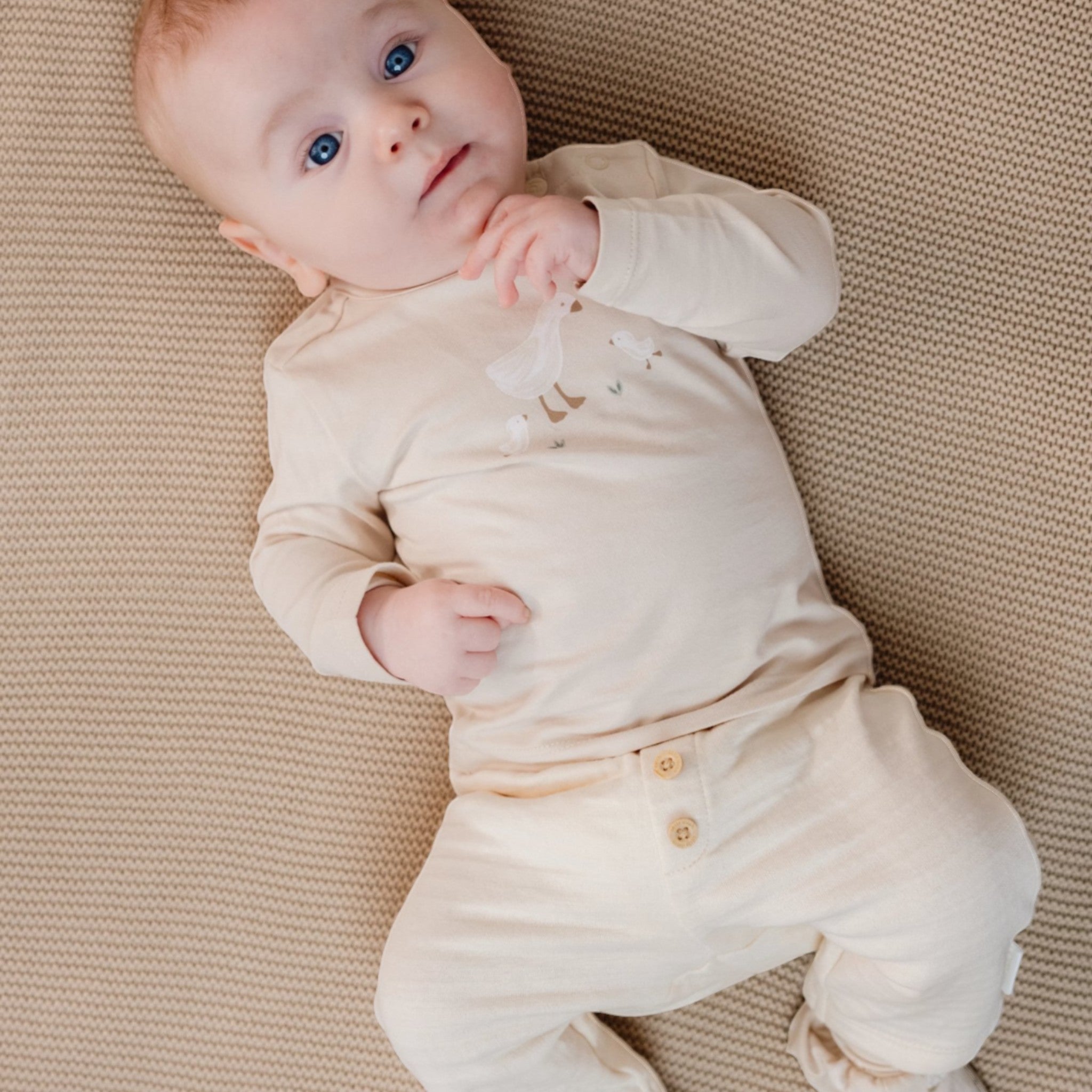 LITTLE DUTCH. Μπλουζάκι μακρυμάνικο Sand Newborn - Νο 68