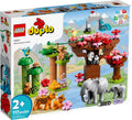 LEGO 10974 - LEGO DUPLO - Wild Animals of Asia