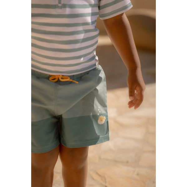LITTLE DUTCH. Παιδικό μαγιό βερμούδα για αγόρια Seashells Surf Blue - Νο 74/80