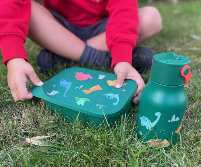 Little Lund Gift Set – Dino 105.00245