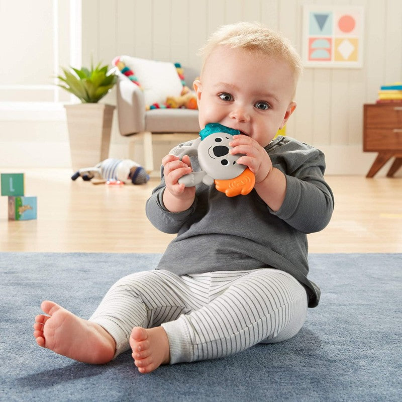 Fisher-Price Μουσικό Κοάλα Οδοντοφυΐας Teether GPB30