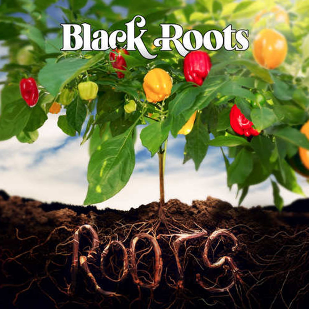 Roots the Vinyl Selection
