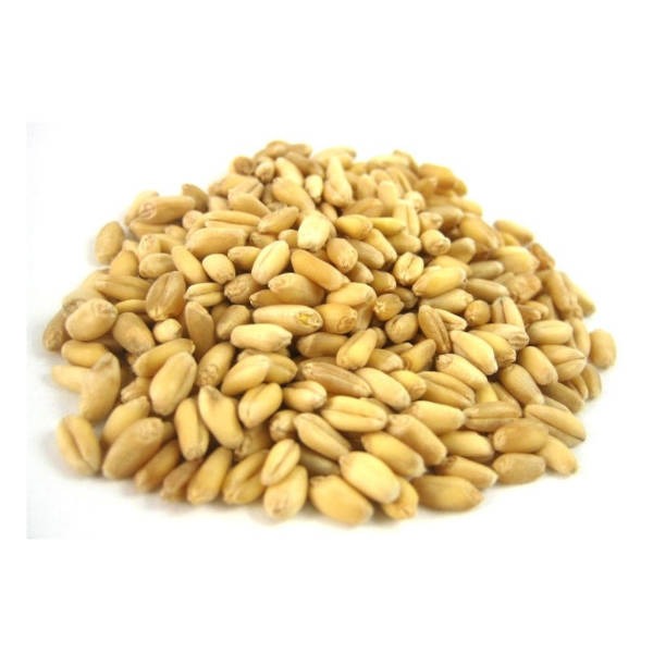 Farma Σιτάρι Αποφλοιωμένο 20Kg