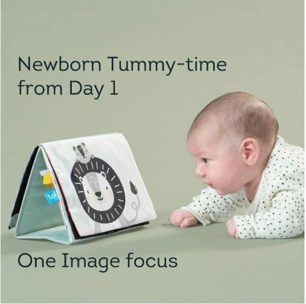 Taf Toys Βιβλίο Δραστηριοτήτων Savannah Tummy Time Book  T-12705
