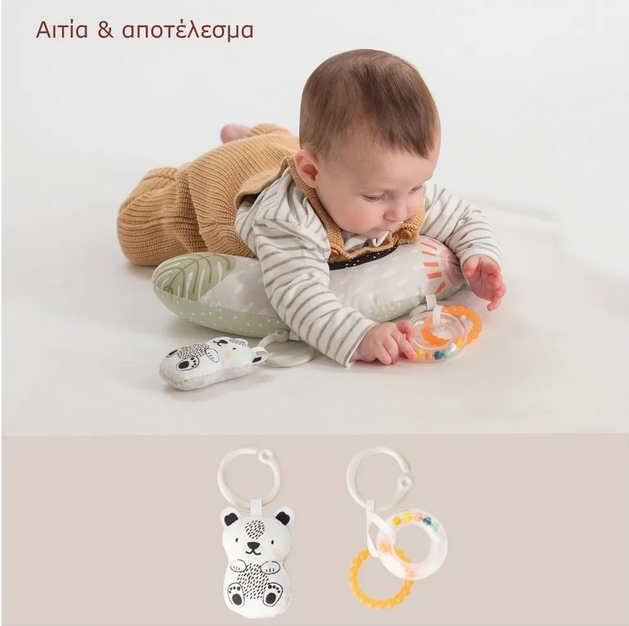 Taf Toys Βρεφικό Σετ Δραστηριοτήτων  Newborn Develop &amp; Play Kit  T-12915