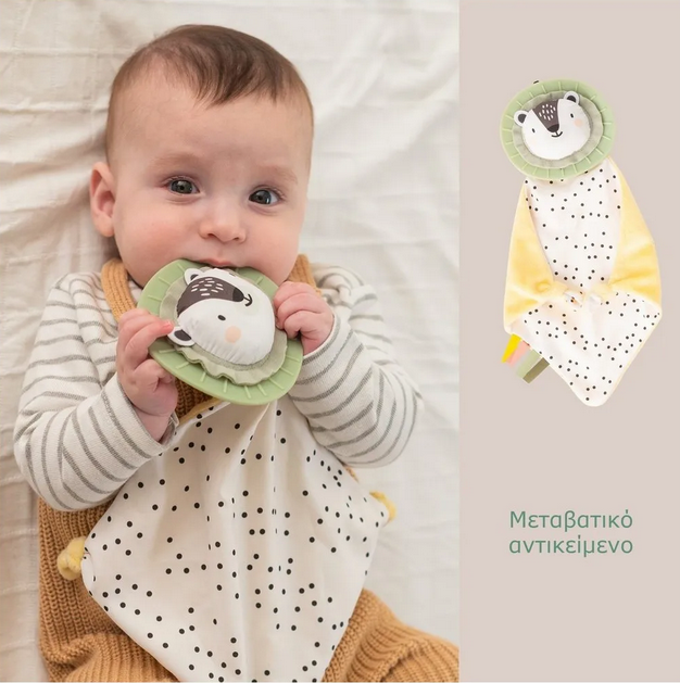 Taf Toys Βρεφικό Σετ Δραστηριοτήτων  Newborn Develop &amp; Play Kit  T-12915