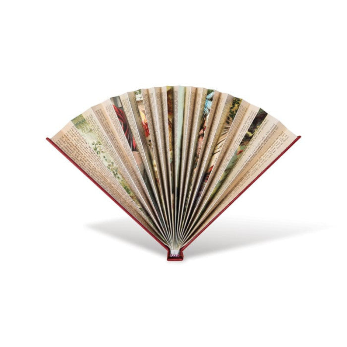 ΒΕΝΤΑΛΙΑ IF BOOK FANS 34804, red book