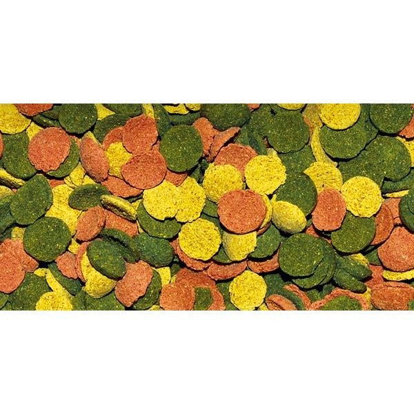 Dajana Wafer Discs Mix - 250 ml
