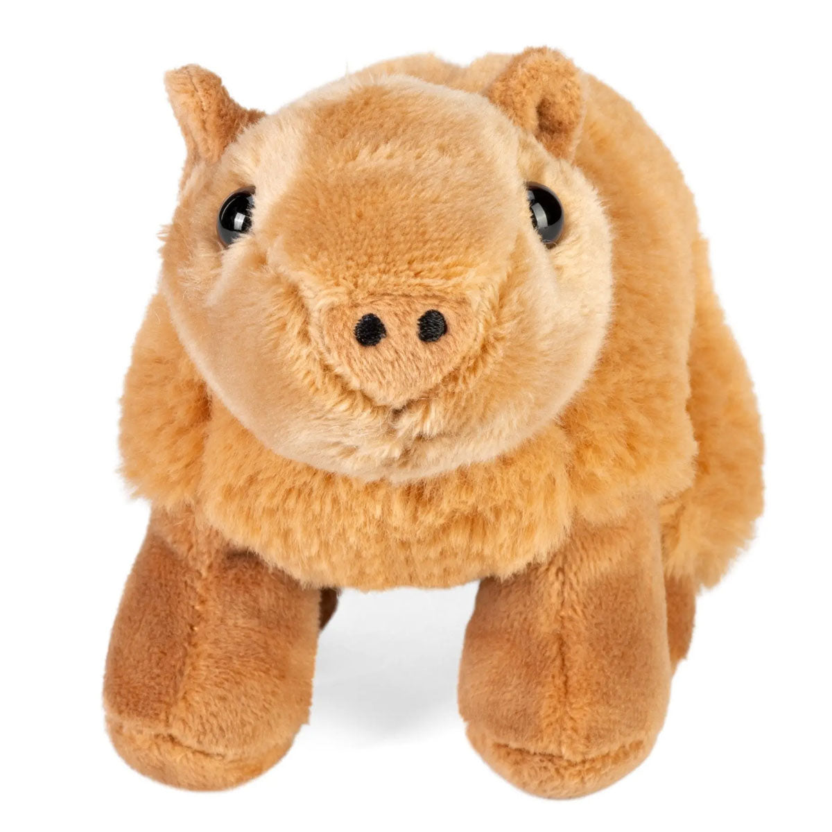 Wild Republic Pocketkins ECO Capybara