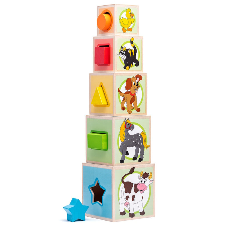 Woody Toys Ξύλινοι Κύβοι Ταξινόμησης με Ζωάκια από Ξύλο