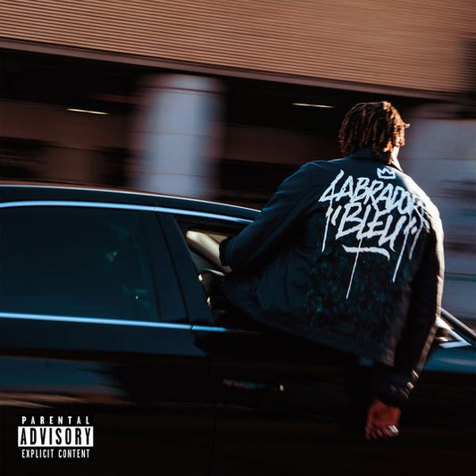 Isha - Labrador Bleu