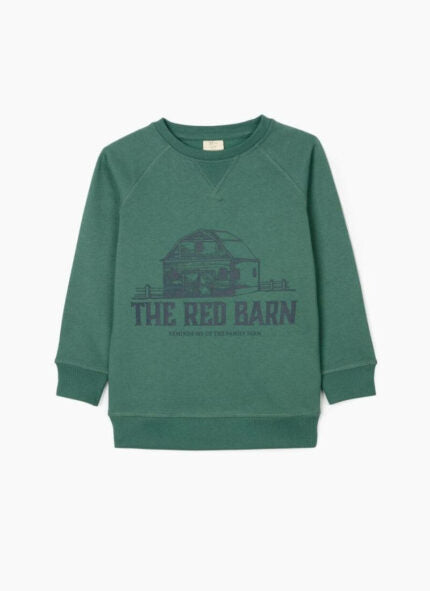 Zippy Kids μπλούζα φούτερ στάμπα πράσινο